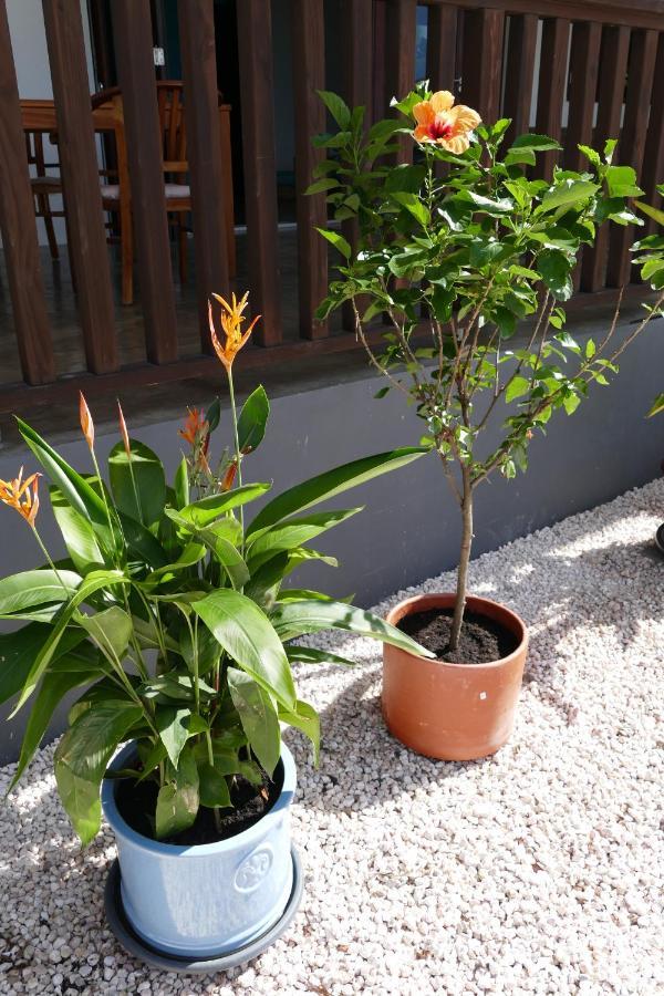 Villa De Mango Fontein Экстерьер фото